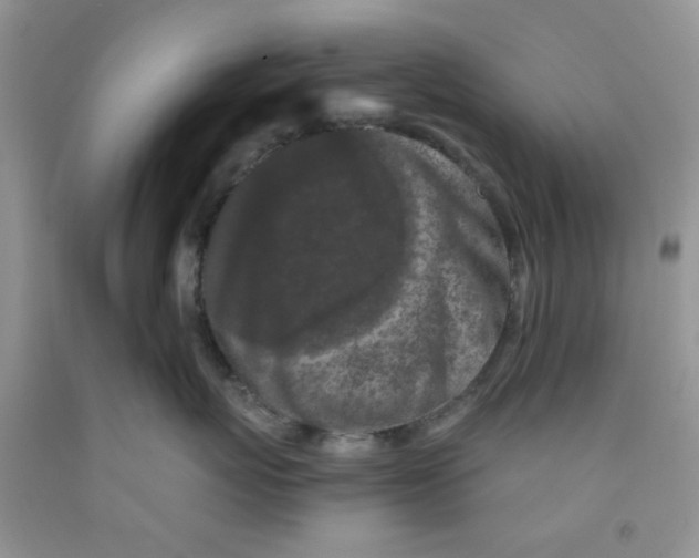 X0000091510767200709141355