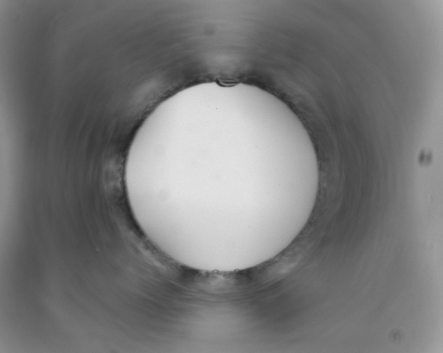 X0000091510768200709141355