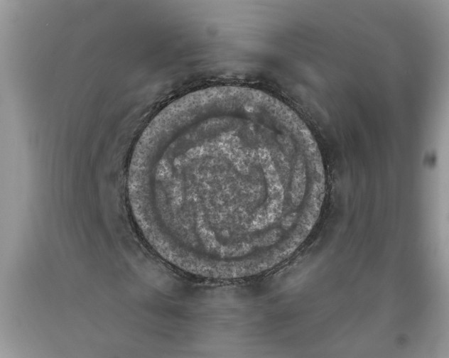 X0000091510769200709141354