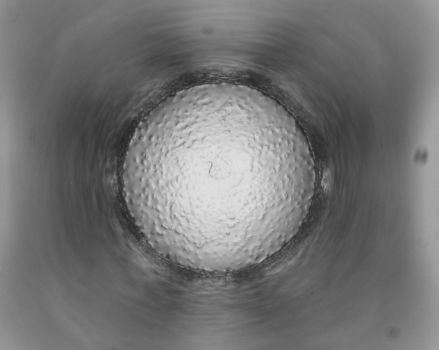 X0000091510771200709141354