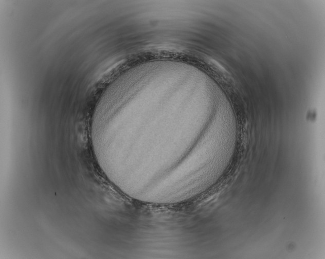 X0000091510774200709141354