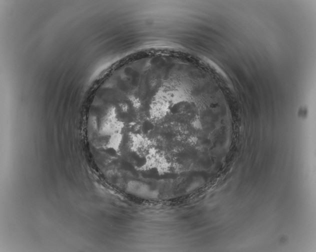 X0000091510775200709141354