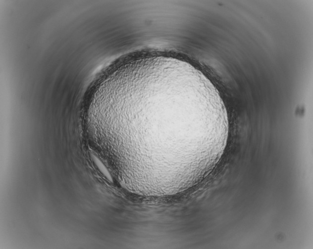 X0000091510776200709141354