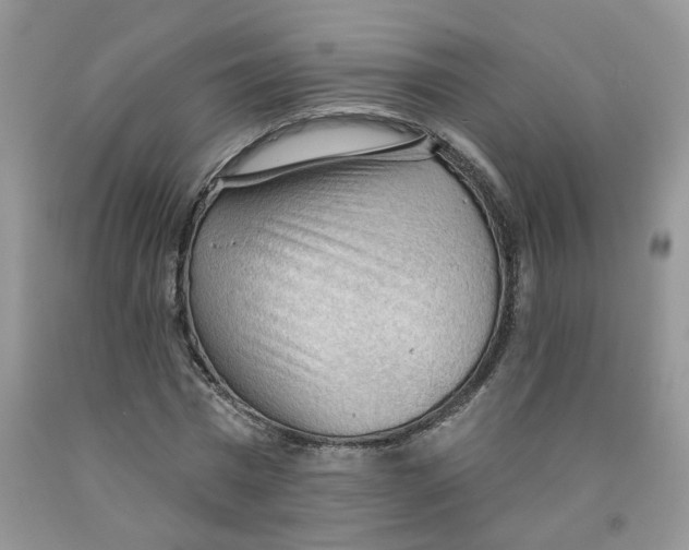 X0000091510777200709141354