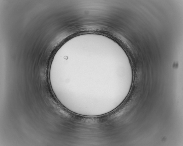 X0000091510778200709141354