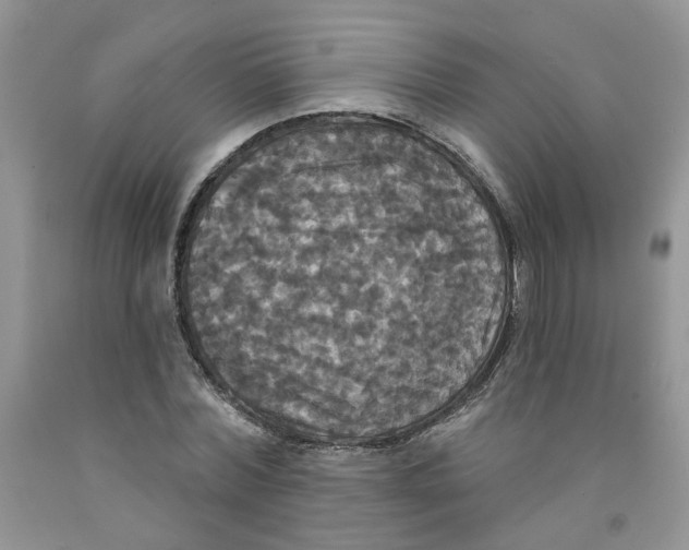 X0000091510780200709141354