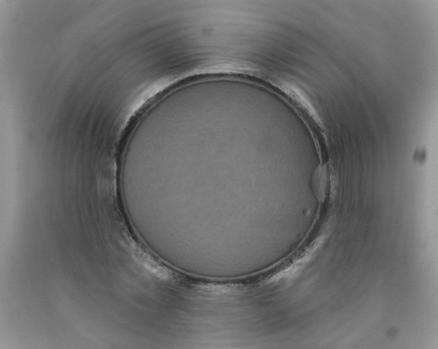 X0000091510781200709141354