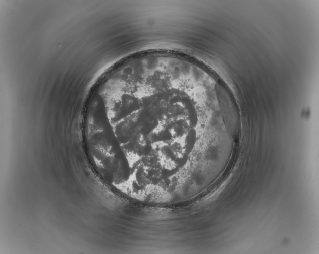 X0000091510783200709141354