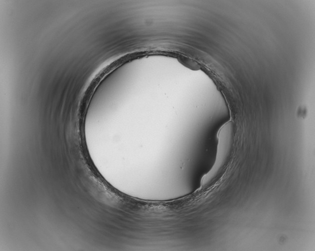 X0000091510784200709141354