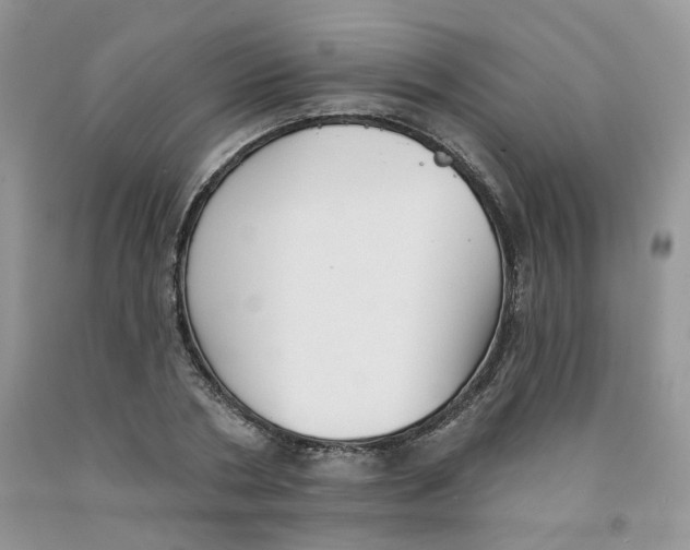 X0000091510786200709141354