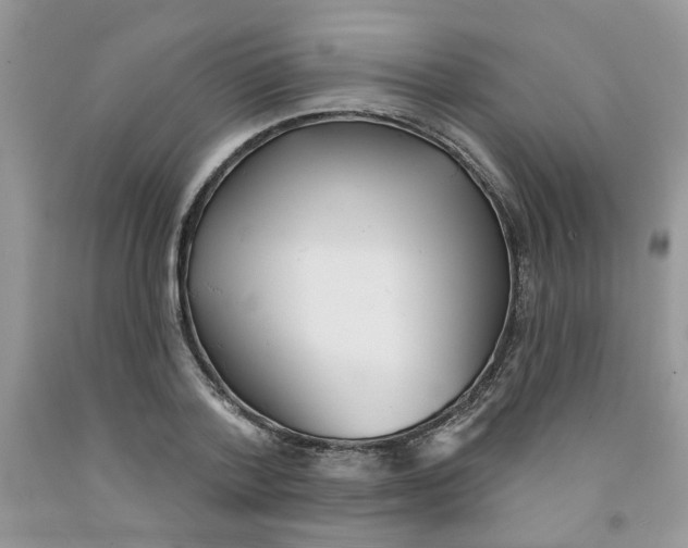 X0000091510788200709141354