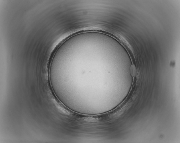 X0000091510789200709141354