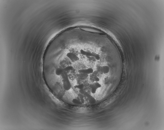 X0000091510791200709141354