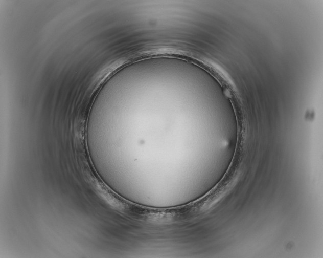 X0000091510793200709141354