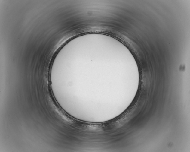 X0000091510794200709141354