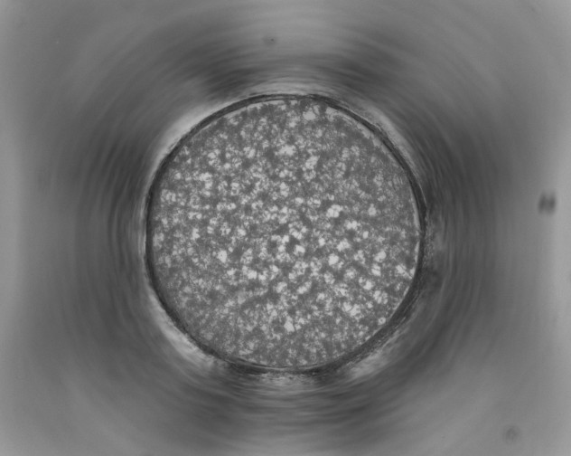 X0000091510795200709141354