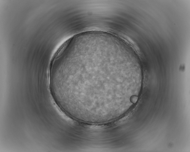 X0000091510796200709141354