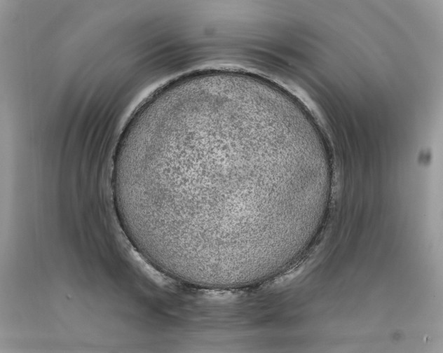 X0000091510799200709141354