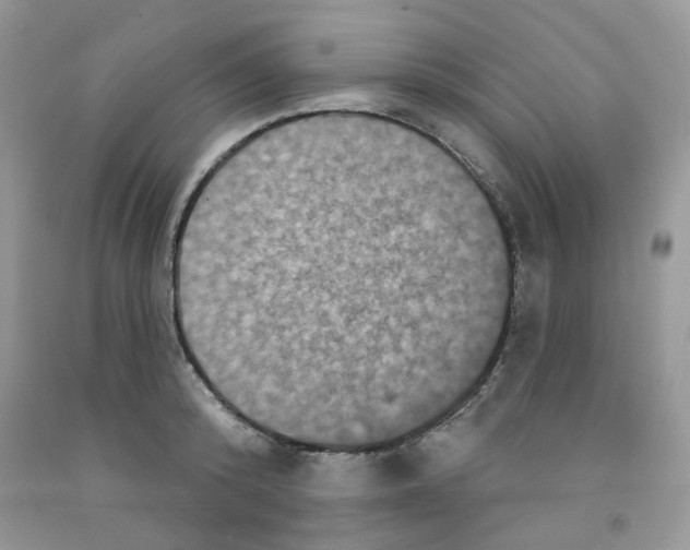 X0000091510800200709141354