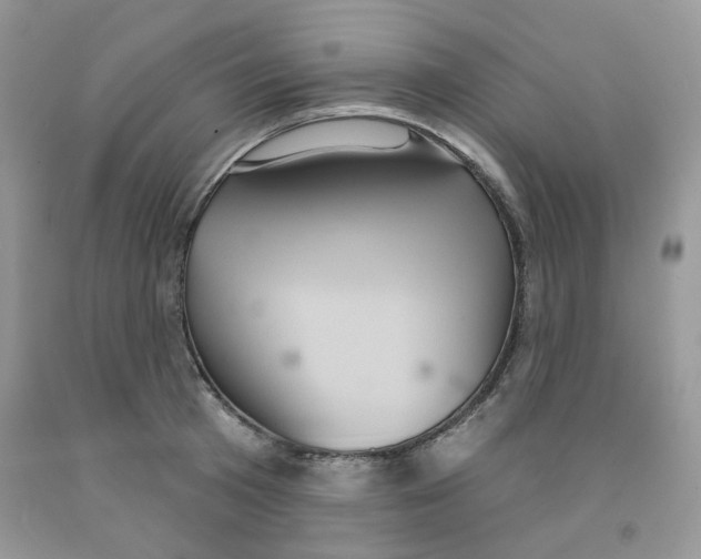 X0000091510801200709141354