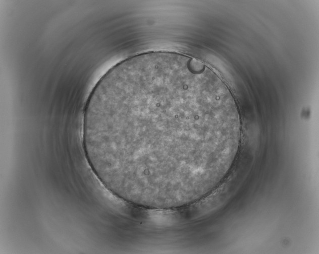 X0000091510804200709141354