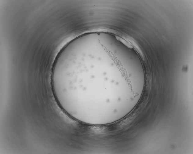 X0000091510805200709141354