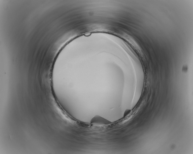 X0000091510806200709141354