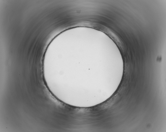 X0000091510808200709141354