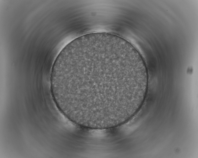 X0000091510810200709141354