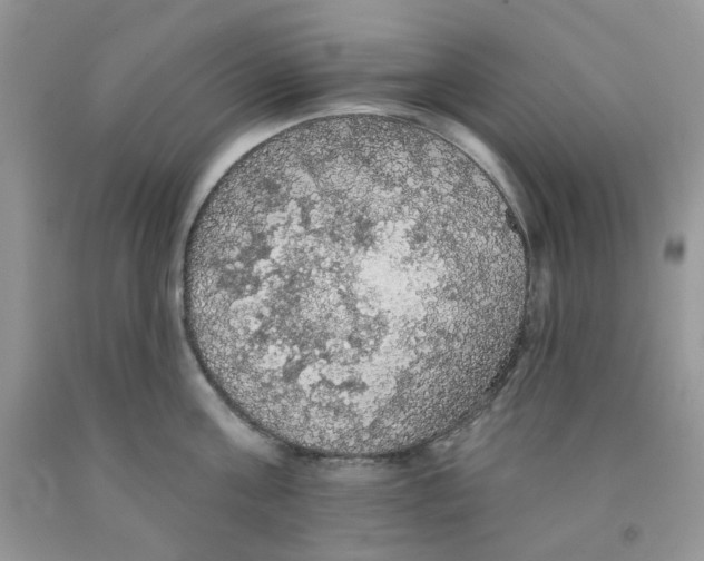 X0000091510811200709141354