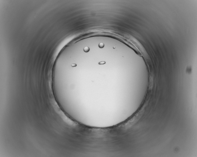 X0000091510812200709141353