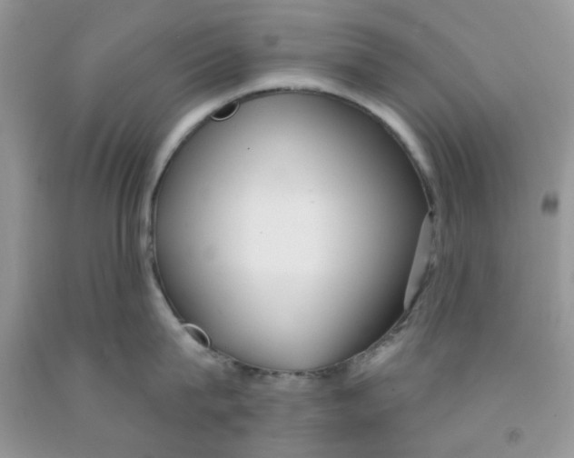 X0000091510815200709141353