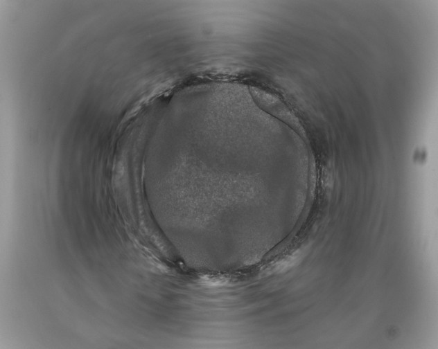 X0000091510818200709141353