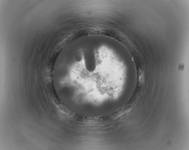 X0000091510819200709141353