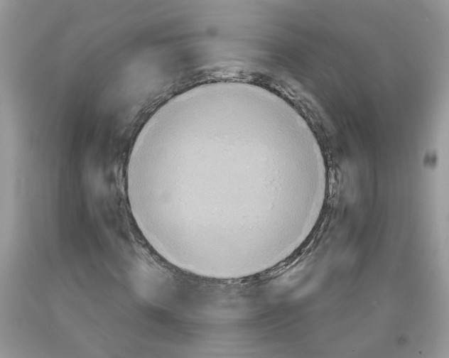 X0000091510820200709141353