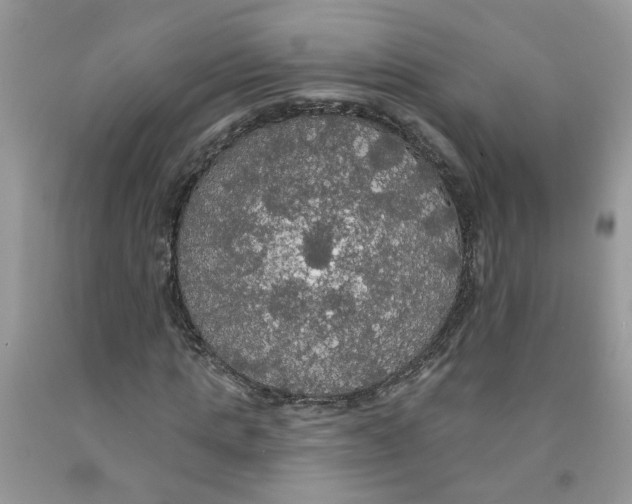 X0000091510821200709141353