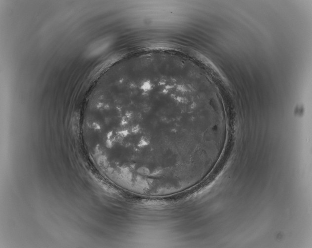 X0000091510825200709141353