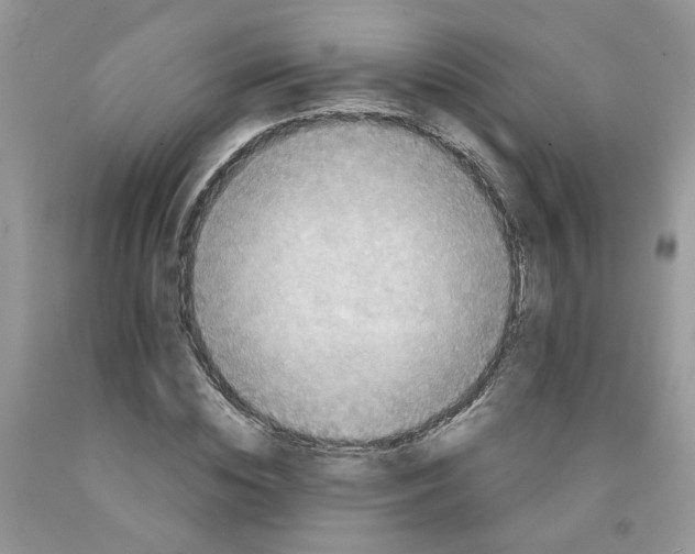 X0000091510828200709141353