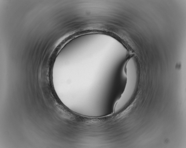 X0000091510830200709141353