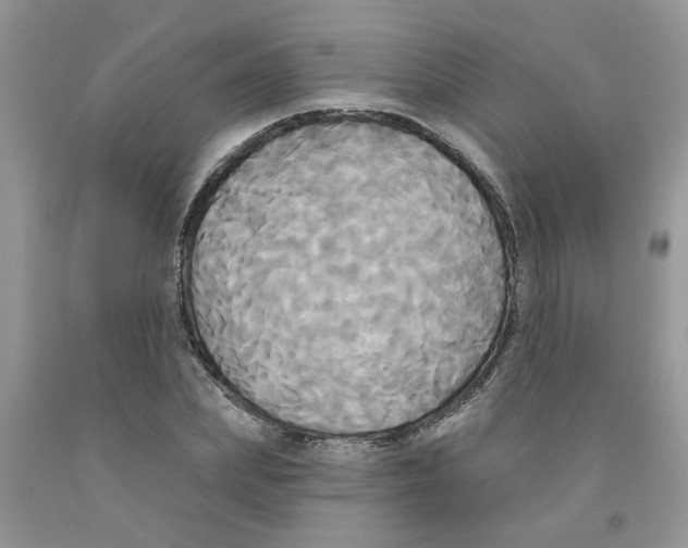 X0000091510831200709141353