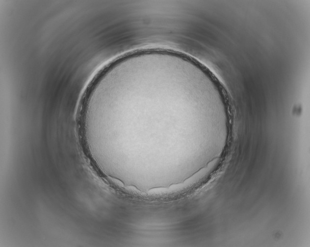 X0000091510832200709141353