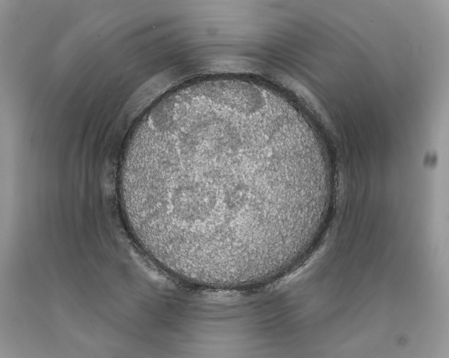 X0000091510833200709141353