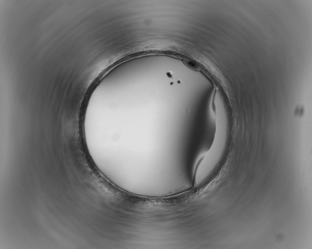 X0000091510834200709141353