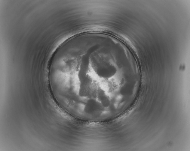 X0000091510835200709141353