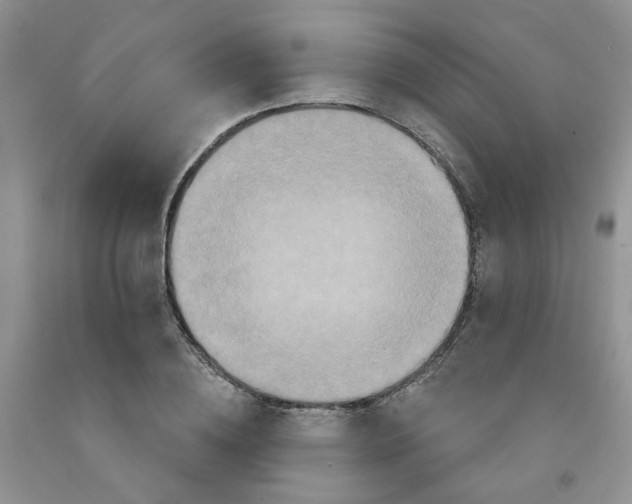 X0000091510836200709141353