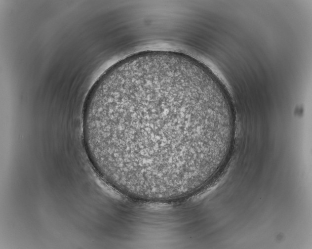 X0000091510837200709141353