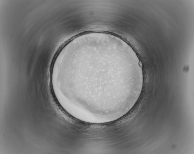 X0000091510840200709141353