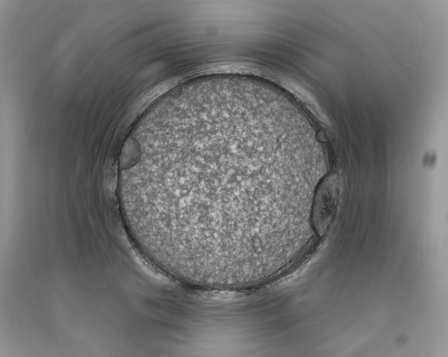 X0000091510841200709141353