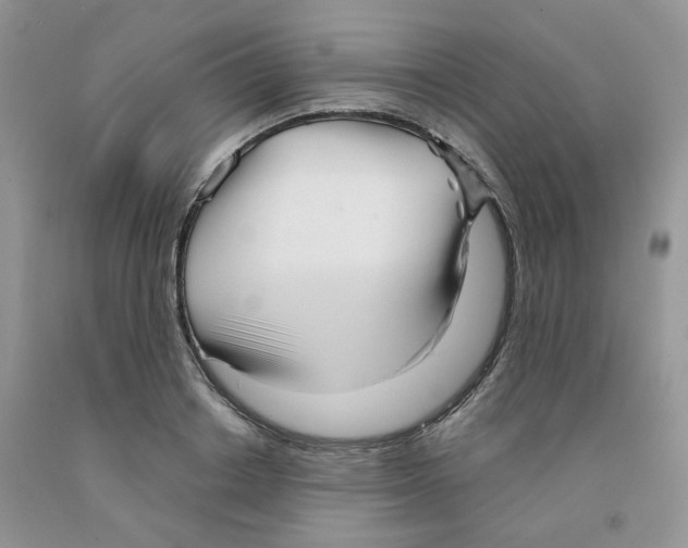 X0000091510842200709141353