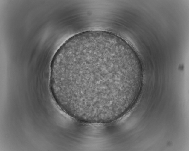 X0000091510844200709141353